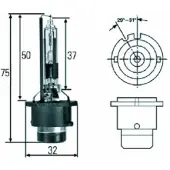Diederichs LID10075 Xenon-lamp