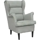 vidaXL Fauteuil Lichtgrijs Fluweel