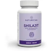 Naturecan Shilajit Capsules - Met Ashwagandha & Piperine - 60 Capsules - Veganistisch