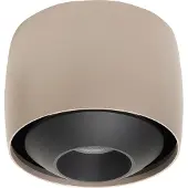 Highlight Spot Amora Champagne gold