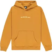 Quiksilver Salt Water Graphic Hoodie Geel 16 Years Jongen