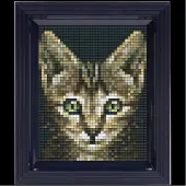 Pixelhobby set met lijst - poes