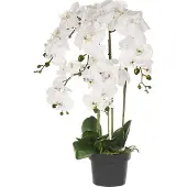 Beliani ORCHID - Kunstplant - Wit/Groen - 63 cm - Synthetisch