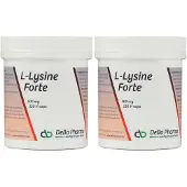 Deba Pharma L-Lysine Forte 500mg 2x120 St Capsules