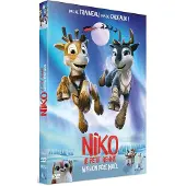 SND Niko le petit renne, Mission père Noël DVD
