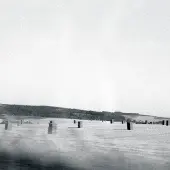 Konkurrent Drone - Feral (CD)