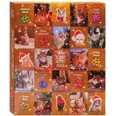 Antos Adventskalender voor de kat met katten snacks