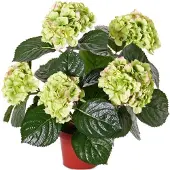 Top Art Topart kunstplant met bloemen - Hortensia - roze - H36 cm - Dia 10 cm - Bloemetjes - Hydrangea