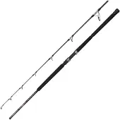 Penn Ally Ii Offshore Jigging Rod Zilver 2.21 m / 80 g
