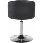 Loft 24 Wales-Fauteuil - Set van 2