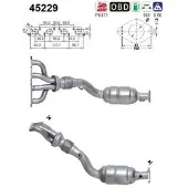 As 45229 Katalysator