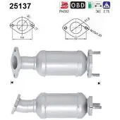 As 25137 Katalysator