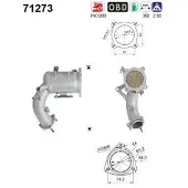 As 71273 Katalysator