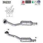 As 30222 Katalysator