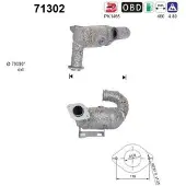 As 71302 Katalysator