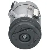 BV PSH 090.135.049.000 Aircopomp