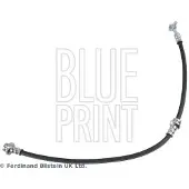 Blue Print ADBP530033 Remslang