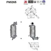 As FN5265 Roetfilter (DPF)