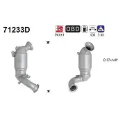 As 71233D Katalysator