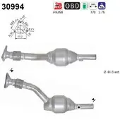 As 30994 Katalysator