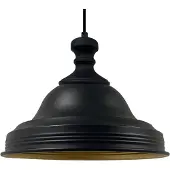 Bamyum Asletl Industriële Hanglamp Metalen Zwart Hanglamp