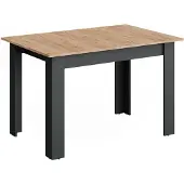 Vicco Eettafel Repose Antraciet/Goudkleurig Eiken 120-160 x 80 cm Uitschuifbaar, Model 55777
