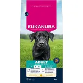 Eukanuba hondenvoer Adult Large Breed kip - 3 kg