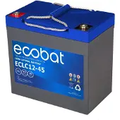 Ecobat - 45AH AGM accu voor uw scootmobiel () - 19.8 cm x 16.6 cm x 17.5 cm (LxBxH)