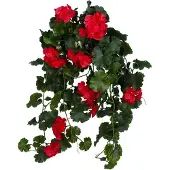 LeopoldFlora Kunst Hanggeranium 65cm UV rood