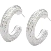 Gaya Oorbellen zilver