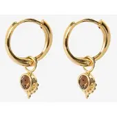 Sissy-Boy Gold Plated Oorbellen Met Bruine Steen