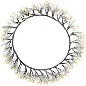 Beliani MUGGAN - LED-decoratie - Zwart - Metaal