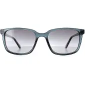 Ted Baker TB1529 Farley 625 duif blauw grijs gradiënt zonnebril