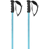 Head Worldcup Sl Stokken Blauw 120 cm