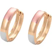 NAEMI Oorbellen goud / rose-goud / zilver