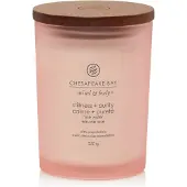 Chesapeake Bay Candle – Stilte en zuiverheid – Medium 250 g