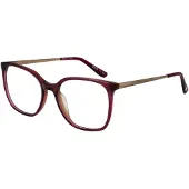Superdry Brilframe SDO-2020 162 50