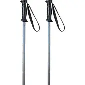 Elan Rockrod Junior Stokken Zilver 90 cm Kinderen
