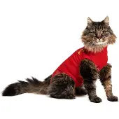 Medical Pet Shirt kat