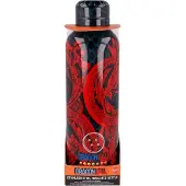 Stor Dragon Ball Water Bottle Shenlong Kitchen- and Tableware