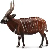 Collecta Figurine - Bongo - (XL)