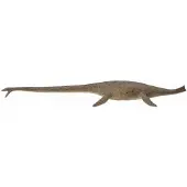 Collecta Deluxe Thalassomedon 1:40 Figure Bruin 3-6 Years Kinderen