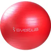 SVELTUS Gymball