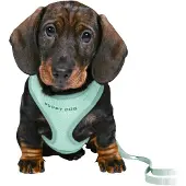 Trixie Junior Welpengeschirr met Leine 26-34 cm/10 mm, 2 m, mint
