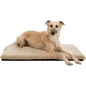Trixie Orthopedische Ligmat Bendson voor honden 80 x 55 cm