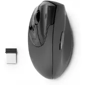 Urban Factory Ergonomic - souris - 2.4 GHz - gris