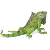 Collecta Figurine - Groene Leguaan - (Xl) - Wilde Dieren - Handgeschilderd - Miniatuur