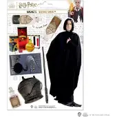 Cinereplicas Harry Potter Magneten Severus Snape