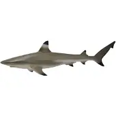 Collecta Zeedieren (M): ZWARTPUNTRIFHAAI 11.4x3.3cm