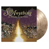 MUSIC ON VINYL In Defense Of The Genre